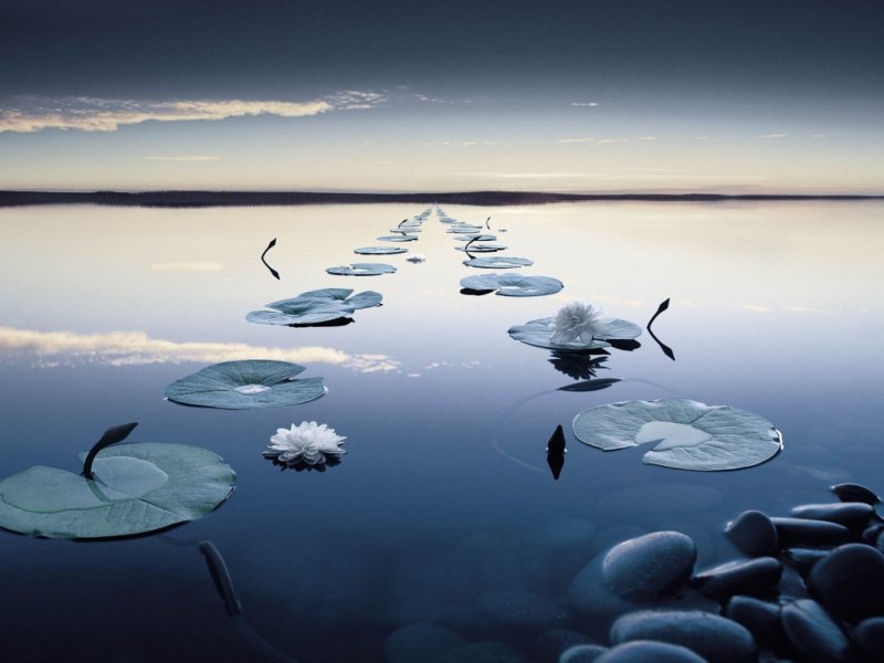 Отражение в воде