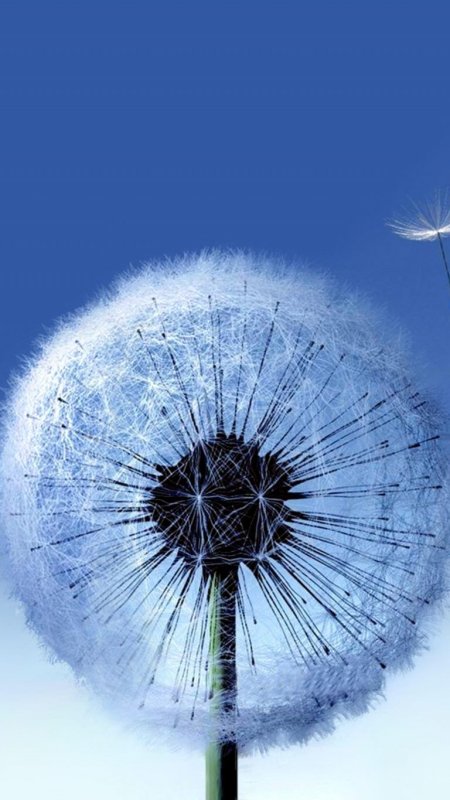 Необычные заставки на телефон