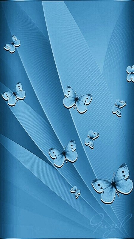 Заставка на телефон бабочки