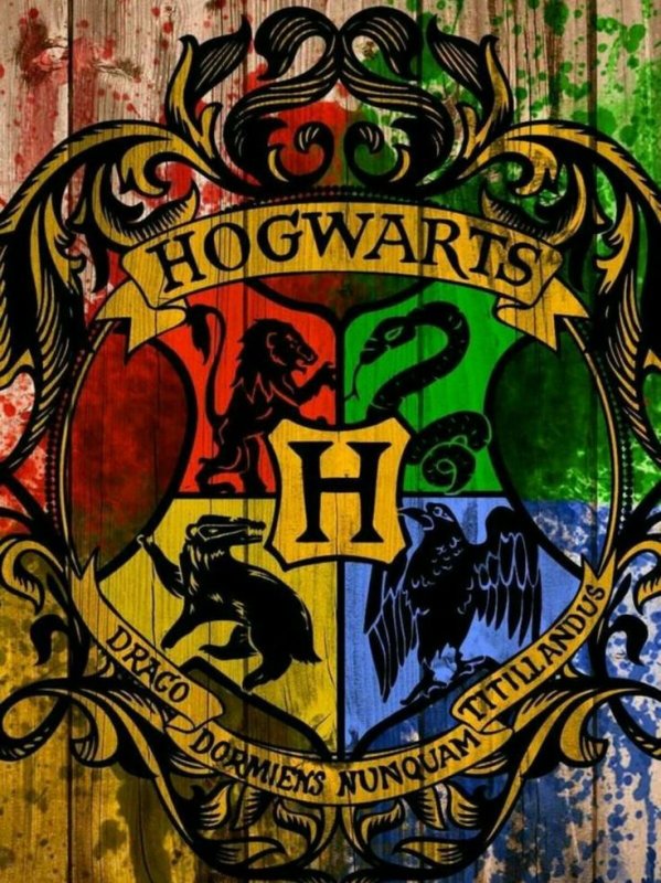 Гарри Поттер Слизерин Гриффиндор
