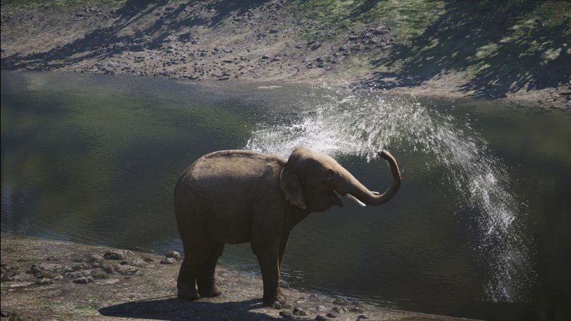 Слон хобот вверх