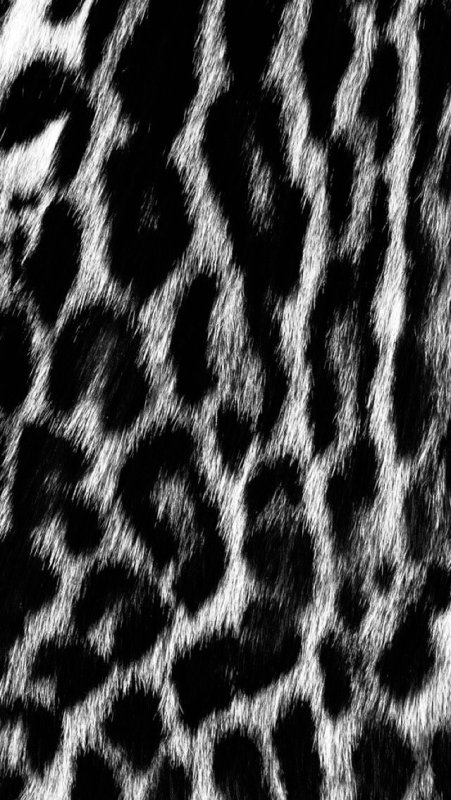 Кожа животных