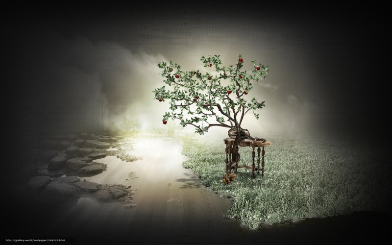 Креативные обои на рабочий стол