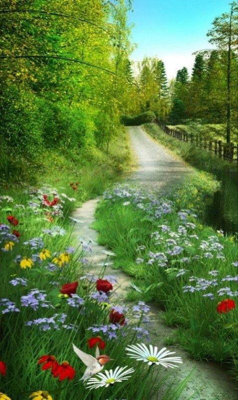 Красивый пейзаж лето