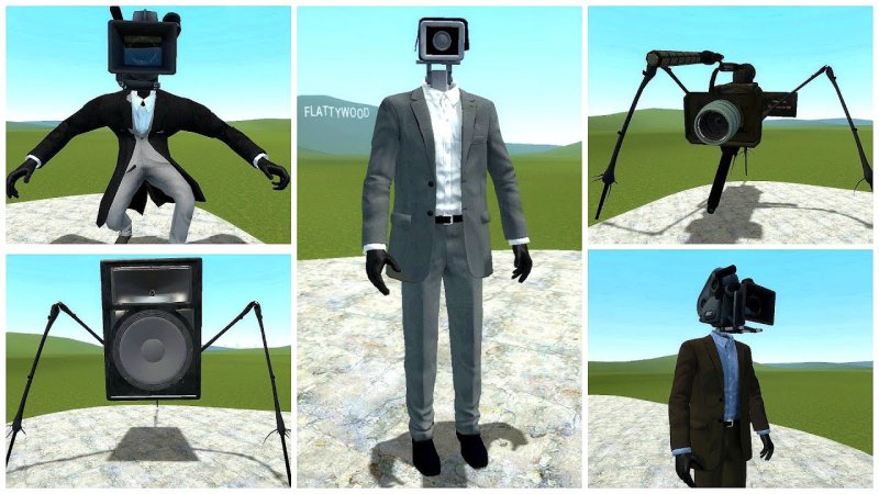 Картина камер мен