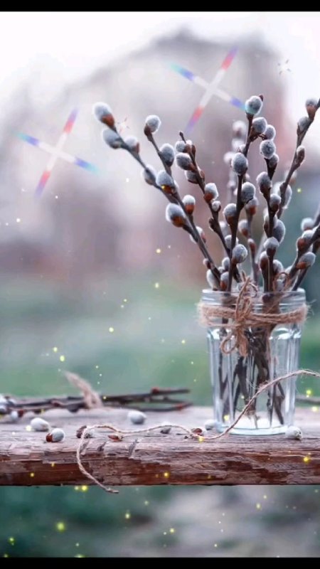 Веточка вербы с Вербным воскресеньем