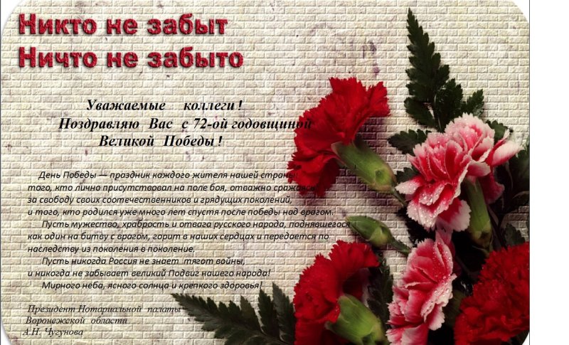 Цветок день Победы