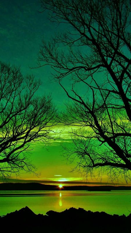 Зеленый пейзаж