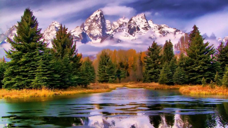 Шикарная природа