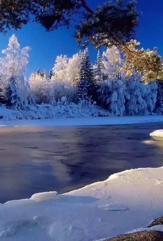 Природа зимой