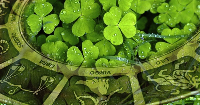 Фотообои на удачу