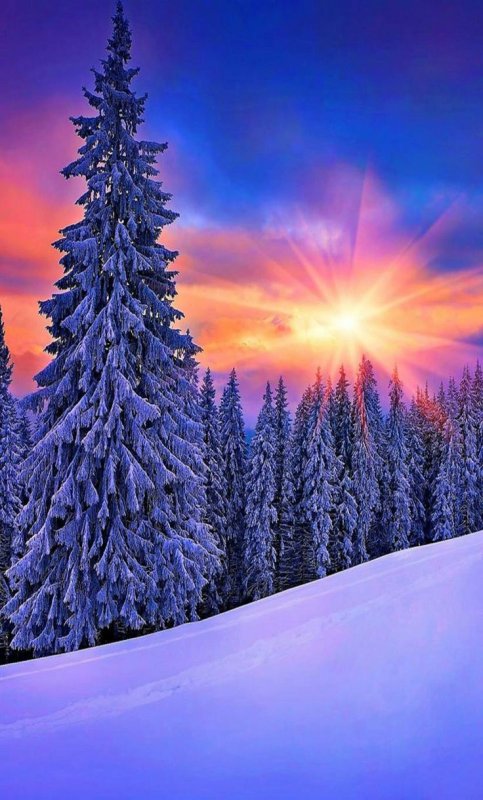 Зимний пейзаж