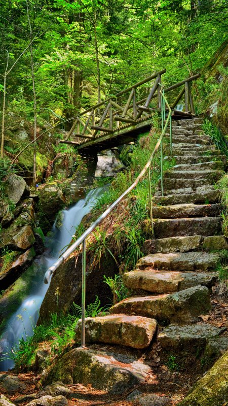 Водопад с мостиком