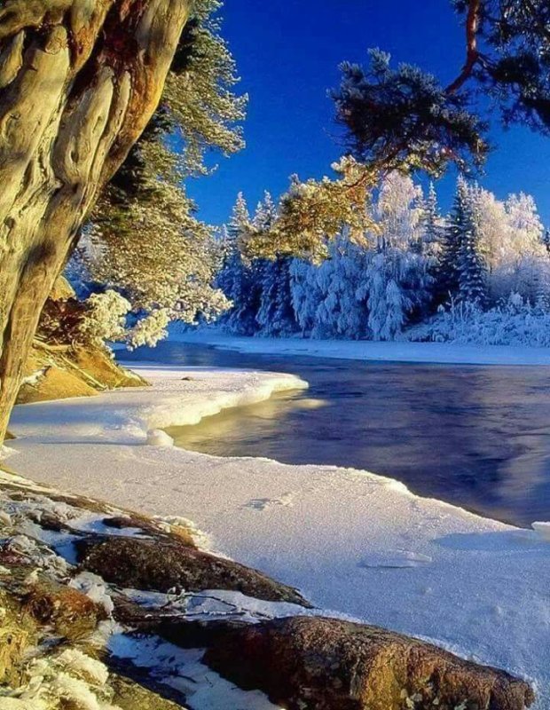 Прекрасная зима