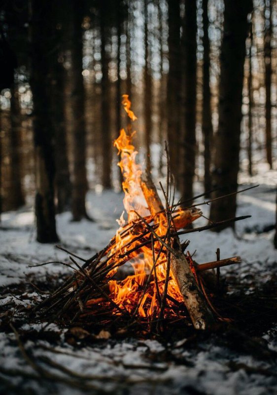 Костер картинка