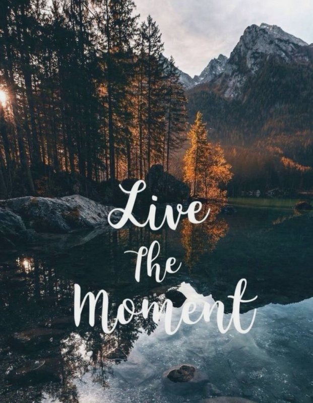 Красивые фразы на заставку