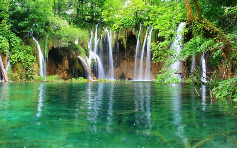 Красивая природа