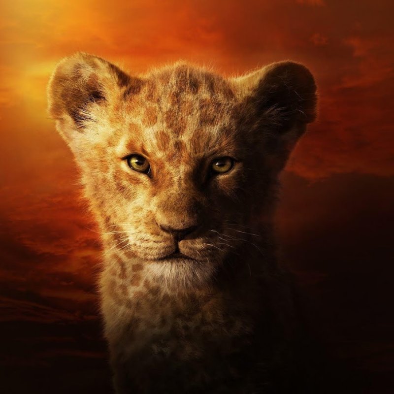 Львёнок Симба Король Лев фильм