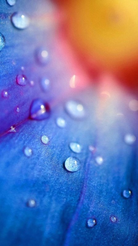 Красивые обои на телефон