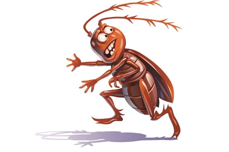 Таракан прикольный