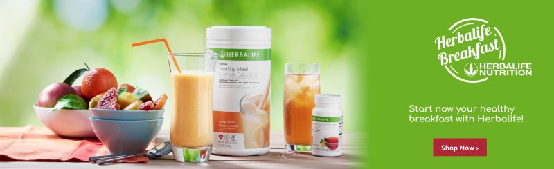 Баннер Гербалайф