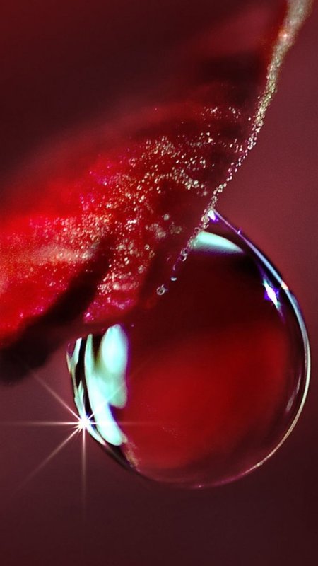 Капли макро