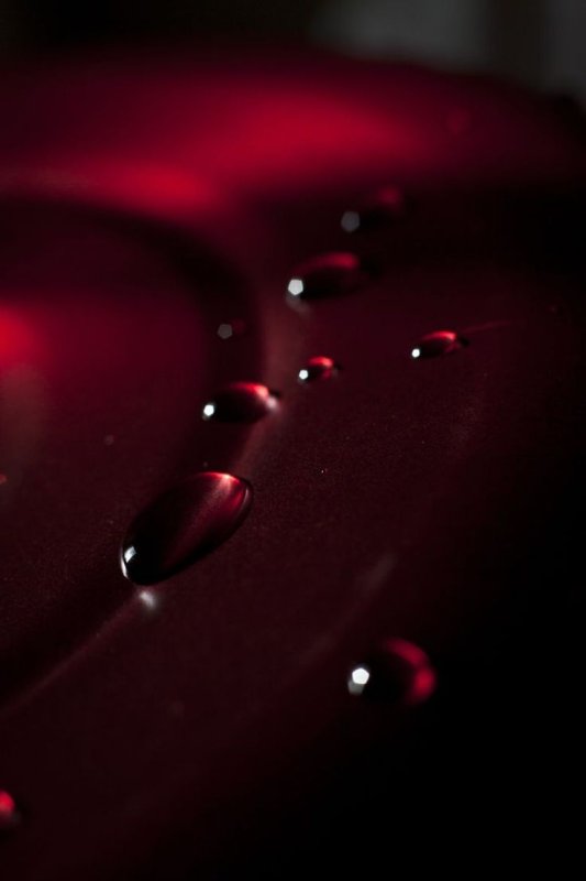 Бордовый цвет