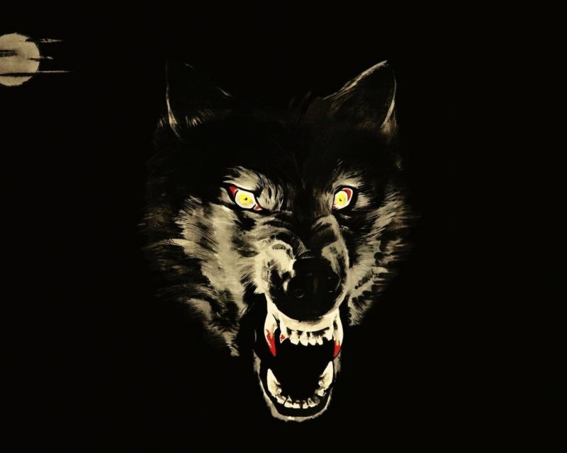 Волк на темном фоне