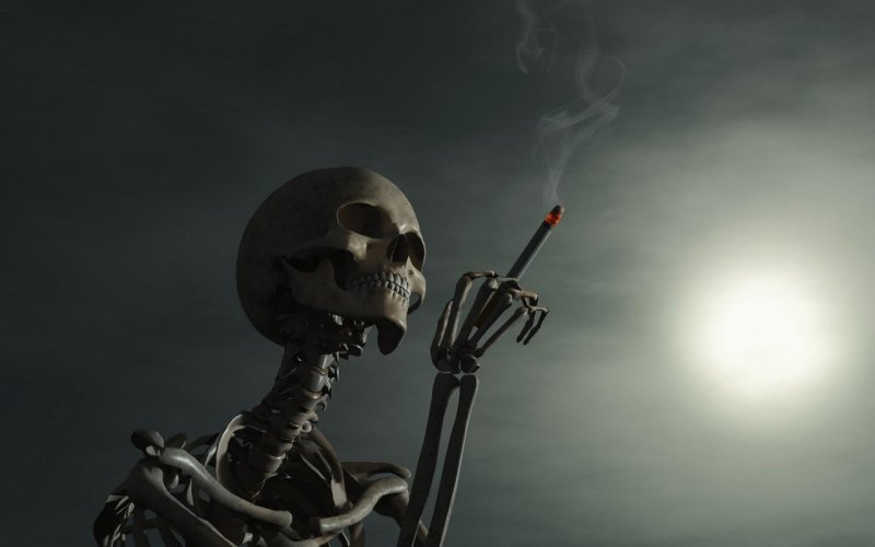 Обои скелет