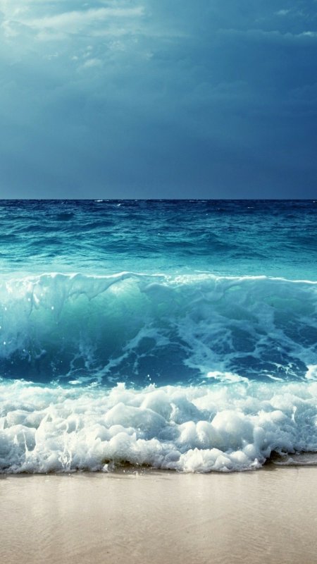 Моря и океаны