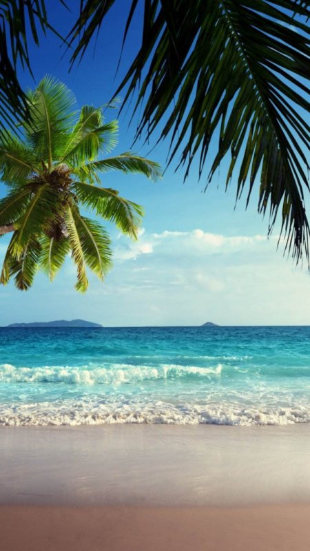 Тропический пляж
