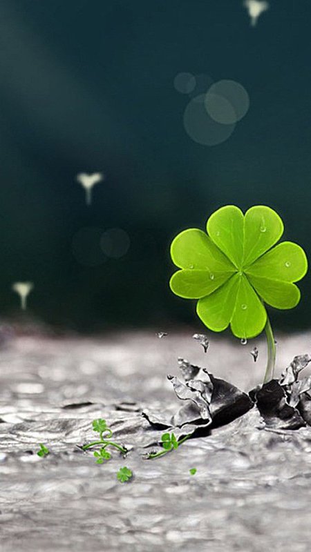 Клевер на удачу на заставку телефона