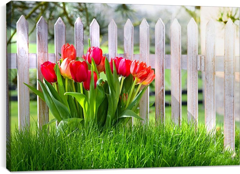 Красивый забор с цветами