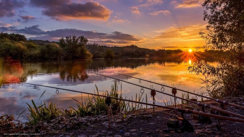 Природа рыбалка