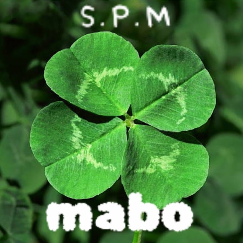 Клевер 4х листник