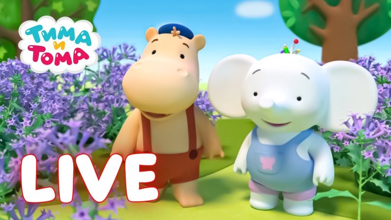 Тима Тома Фелиция