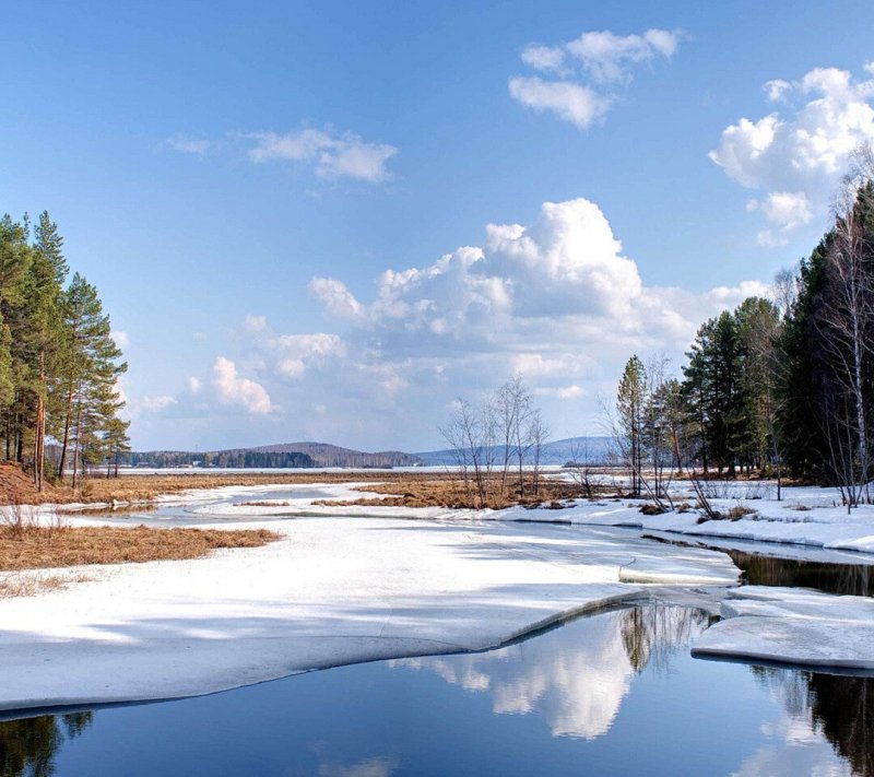 Весна природа