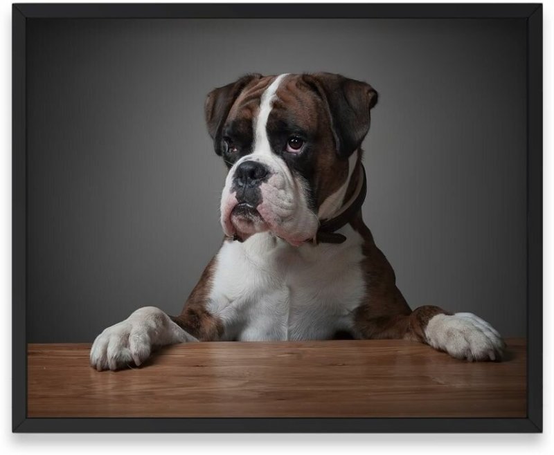 Порода немецкий боксер