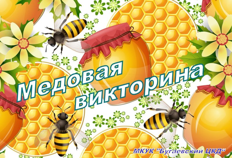 Соты с пчелкой