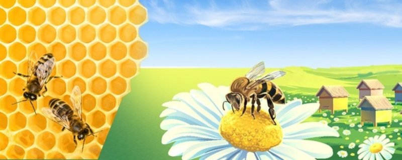 Пчелы фон