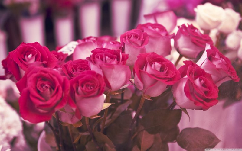 Букет шикарный