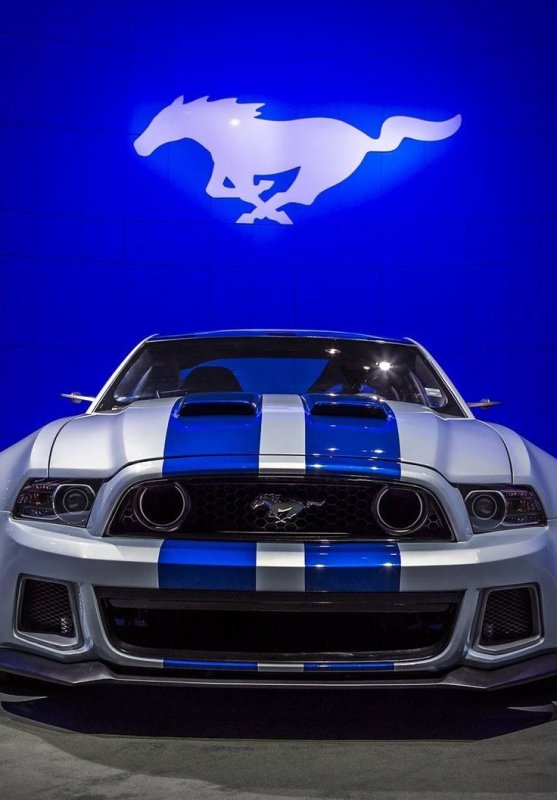 Ford Mustang Shelby gt500 2015