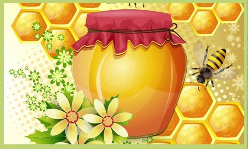 Медовые соты