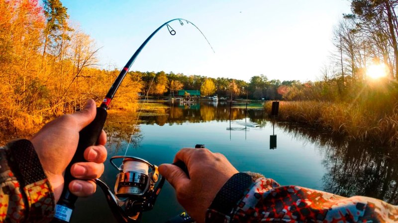 Фон рыбалка