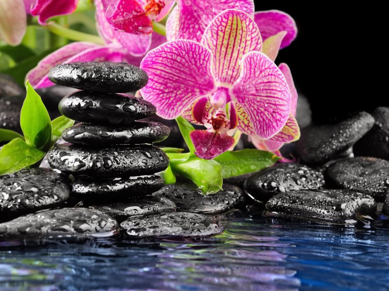 Картинки на заставку рабочего стола