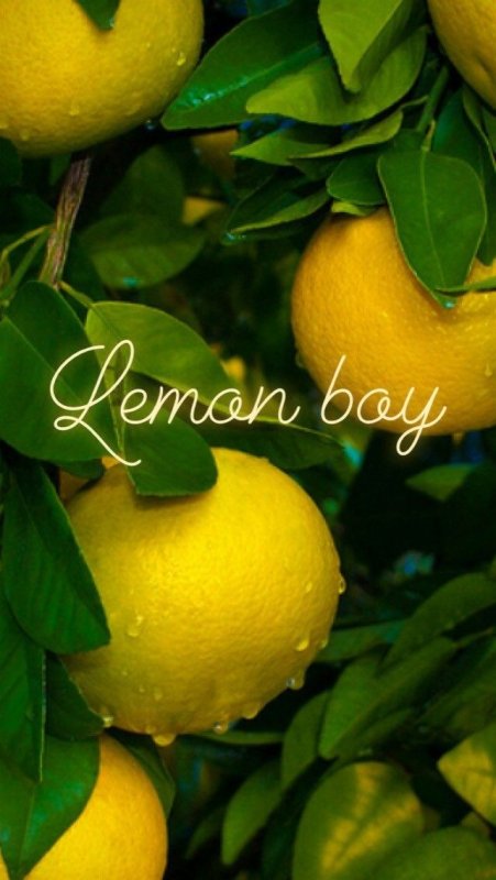 Лимон вертикально