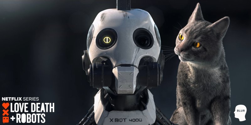Любовь смерть и роботы кот