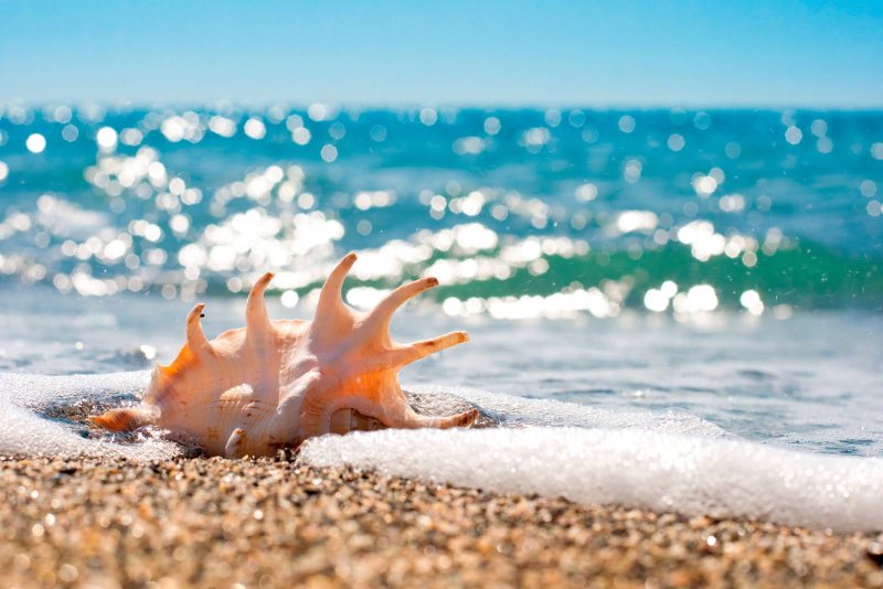 Море солнце