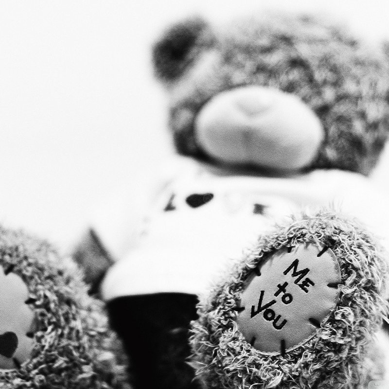 Плюшевый мишка