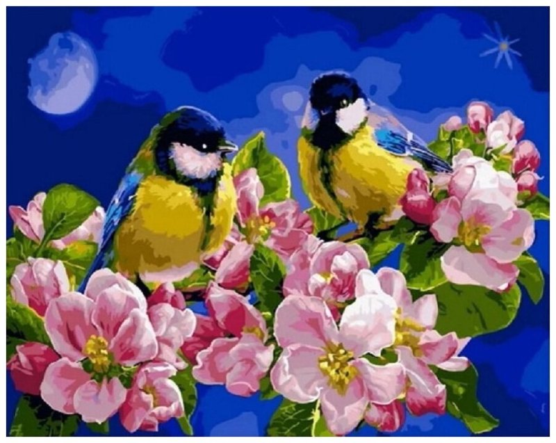 Красивые птицы